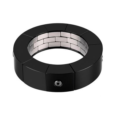 kualitas Memotong Custom Permanent Magnetic Assembly Spesifikasi Hitam Sesuaikan Komponen Magnetik untuk Aplikasi Industri dan Presisi pabrik