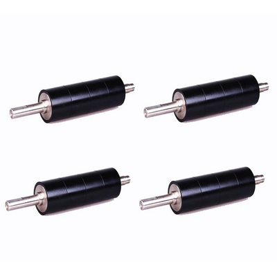 Rakitan Rotor Stator Mesin Listrik, Rotor Magnet Neodymium ROHS AlNiCo