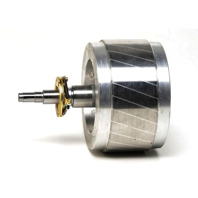 Stator Pompa Drainase Perakitan Magnetik Permanen Sinter Kustom Dengan Poros
